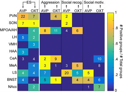 Early Life Adversity and Adult Social Behavior: Focus on Arginine Vasopressin and Oxytocin as Potential Mediators